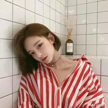 燕子与鹦鹉